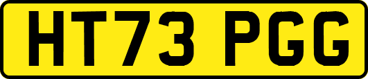 HT73PGG