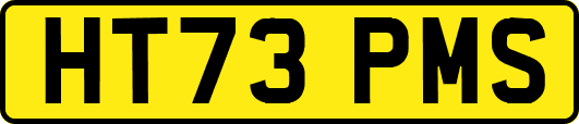 HT73PMS