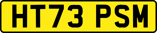 HT73PSM