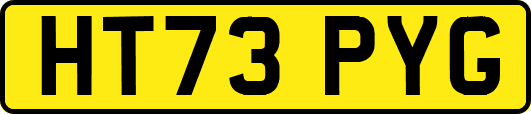 HT73PYG