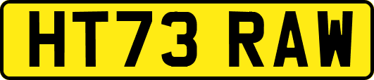 HT73RAW