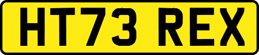 HT73REX
