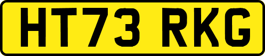 HT73RKG