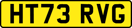 HT73RVG