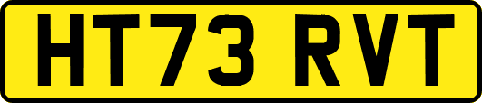 HT73RVT