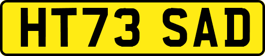 HT73SAD