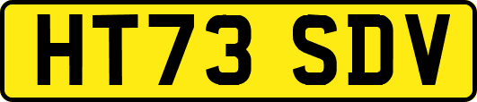 HT73SDV