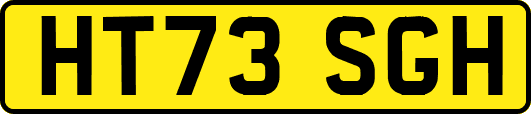 HT73SGH