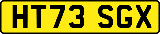 HT73SGX