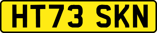 HT73SKN