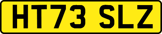 HT73SLZ