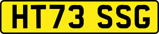 HT73SSG