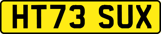 HT73SUX