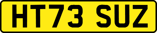 HT73SUZ