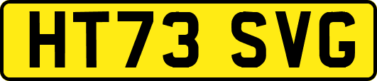 HT73SVG