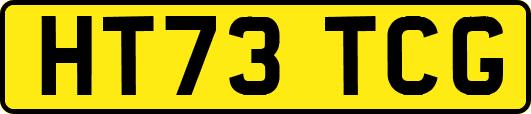 HT73TCG