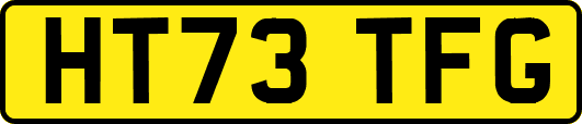 HT73TFG