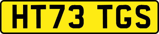 HT73TGS