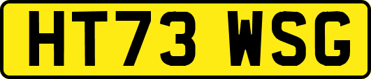 HT73WSG