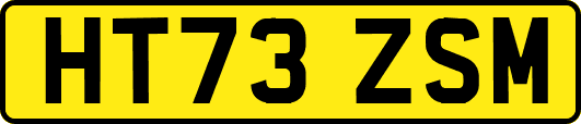 HT73ZSM