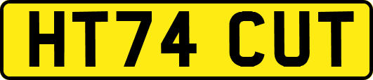 HT74CUT