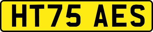 HT75AES