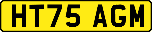 HT75AGM