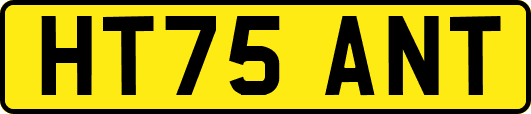 HT75ANT