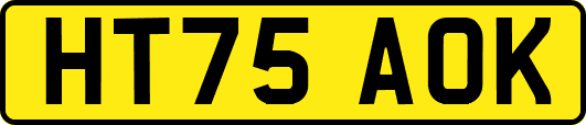 HT75AOK