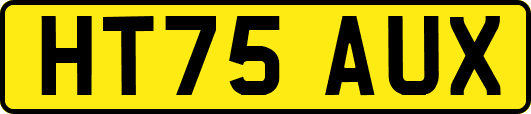 HT75AUX