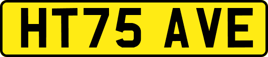 HT75AVE