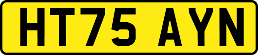 HT75AYN