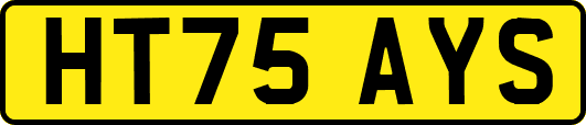 HT75AYS