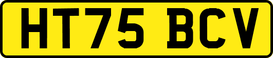HT75BCV