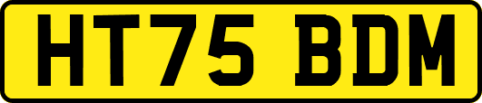 HT75BDM