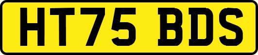HT75BDS