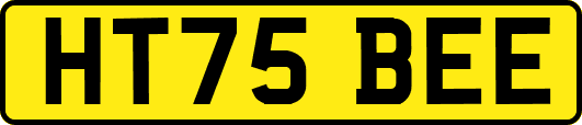 HT75BEE