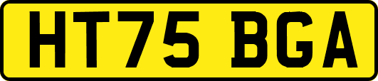 HT75BGA