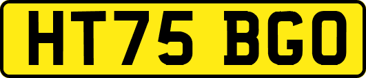 HT75BGO
