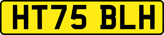 HT75BLH