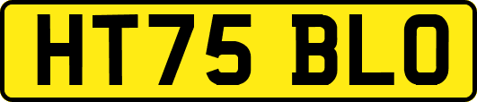 HT75BLO