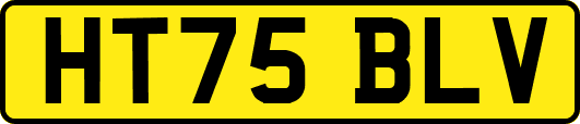HT75BLV