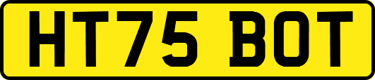 HT75BOT