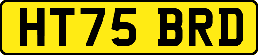 HT75BRD