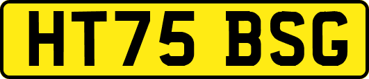 HT75BSG