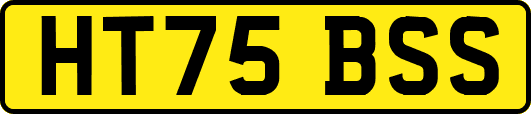 HT75BSS