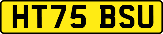 HT75BSU
