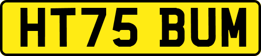 HT75BUM