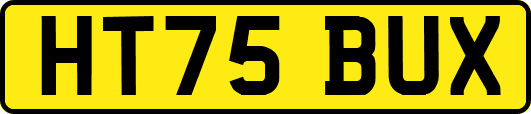 HT75BUX