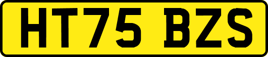 HT75BZS